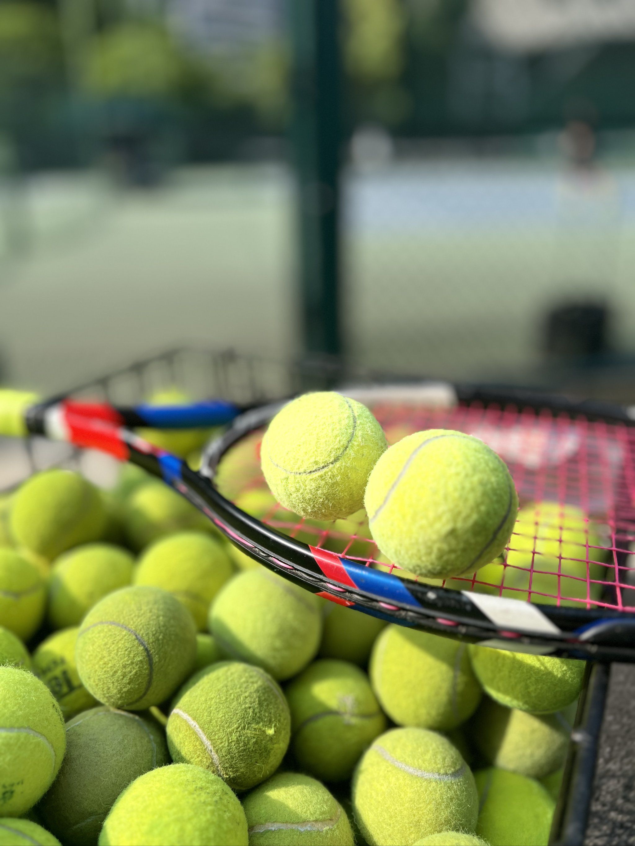 的独特地位 的独特地位